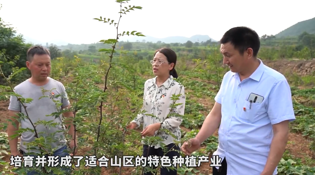 截圖20220223183553.png 截圖20220223183553.png