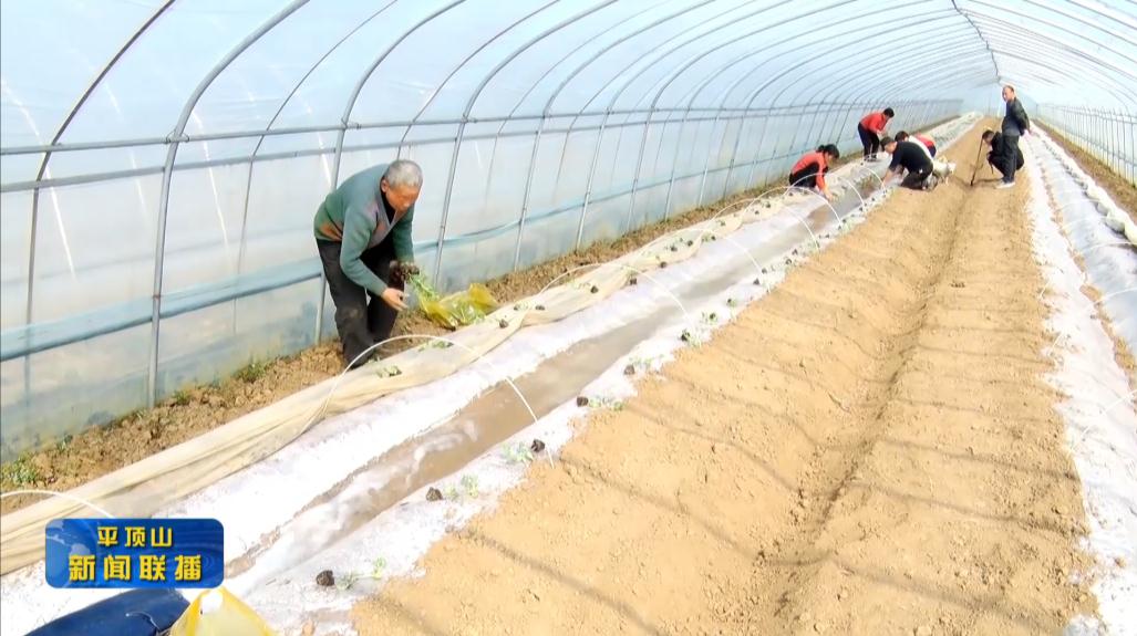 微信截圖_20220310213934.jpg 微信截圖_20220310213934.jpg