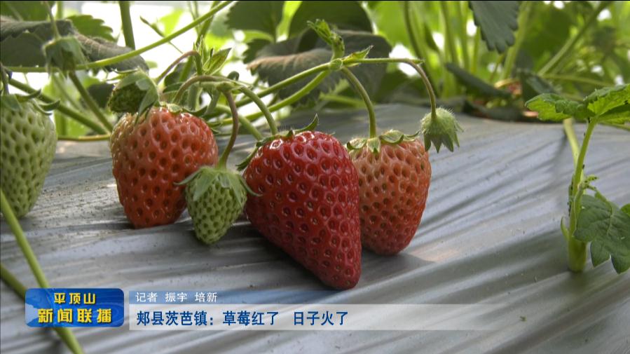 微信截圖_20220325184255.jpg 微信截圖_20220325184255.jpg