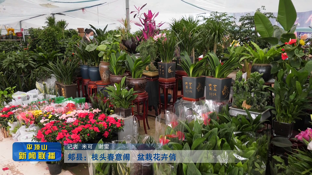 平頂山新聞2022年3月29日(11)1.880.png 平頂山新聞2022年3月29日(11)1.880.png