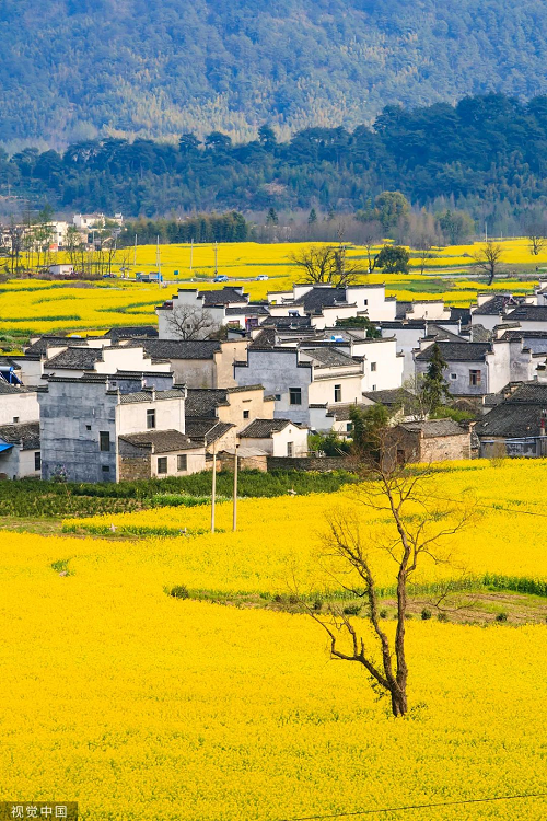 圖片6.png 圖片6.png