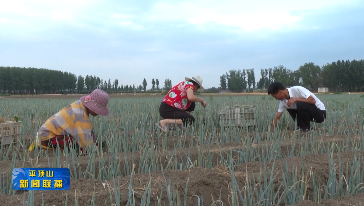 微信截圖_20220713180216.png 微信截圖_20220713180216.png